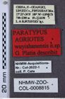 Etikette zu Agriotes wuyishanensis (NHMW-ZOO-COL-0008815)